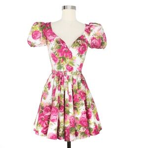 NWT Trashy Diva Puff Sleeve Lizzie Dress in Pink Floral